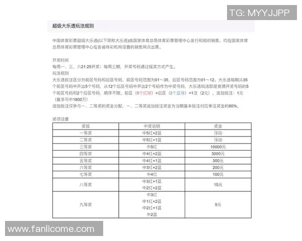 深入解析双色球的玩法规则与技巧助你轻松中奖